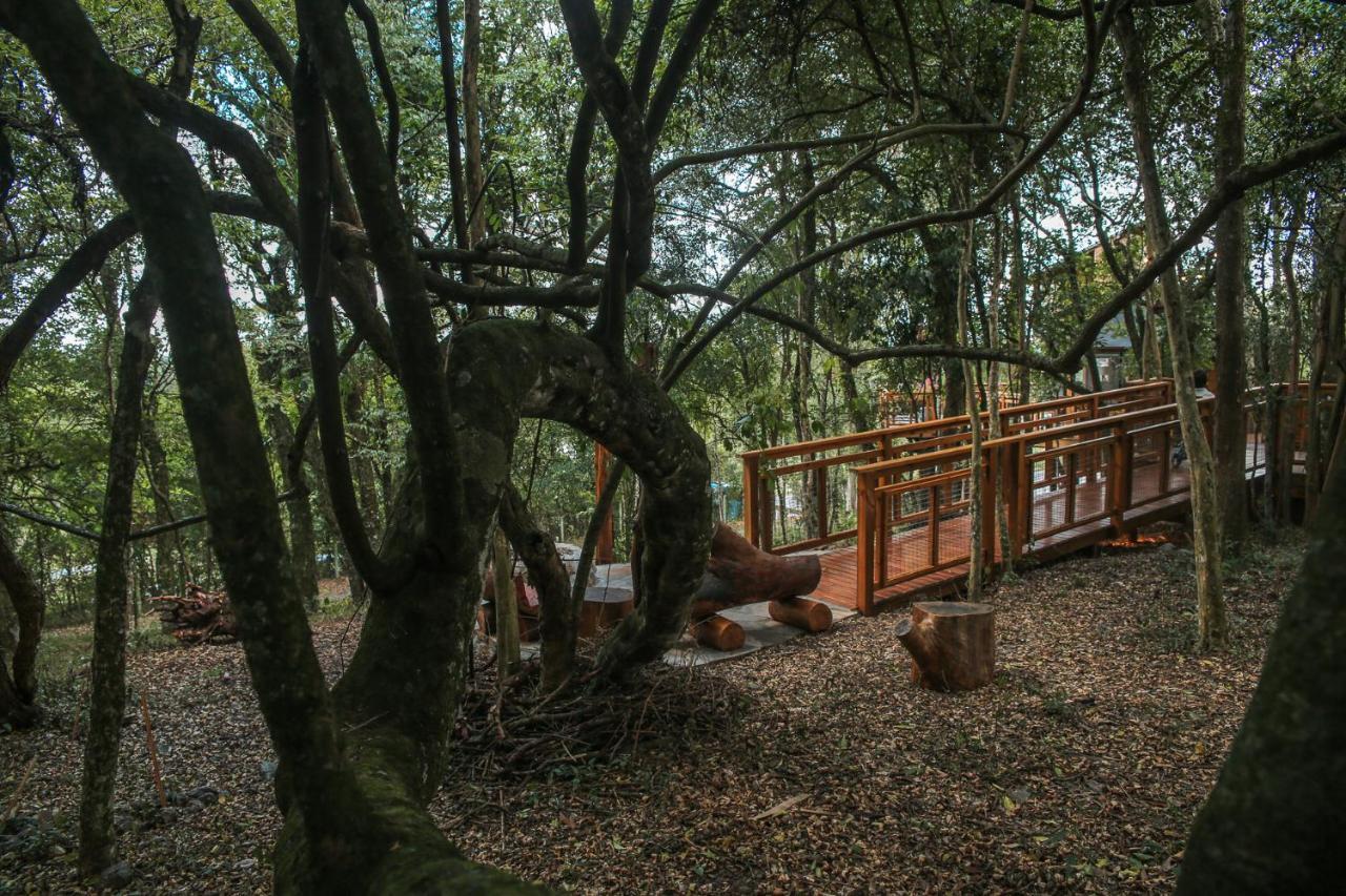 Casa Na Arvore Morada Dos Vagalumes Farroupilha Luaran gambar